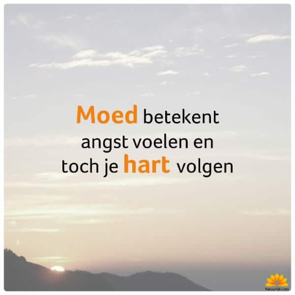 natuurlijk loes - moed betekent angst voelen en toch je hart volgen