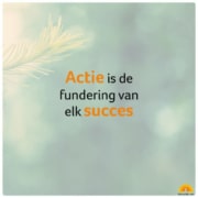 natuurlijk loes - actie is de fundering van elk succes