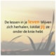 natuurlijk loes - stress blijft zich herhalen totdat je ervan leert